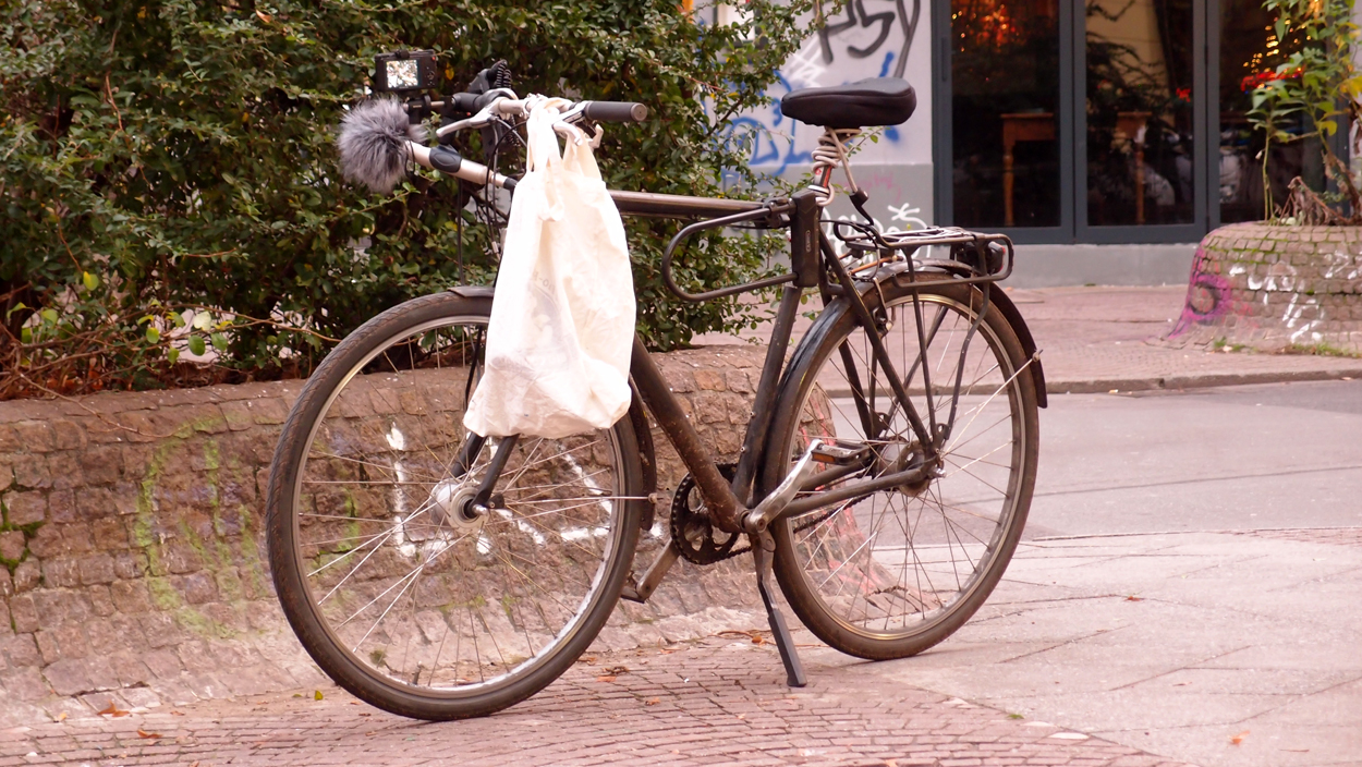 2019-12-11 Spatzen II (Fieldrecording Video)